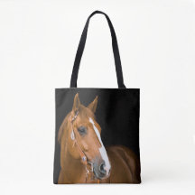 Brun vit Quarter-Horse-fotografi