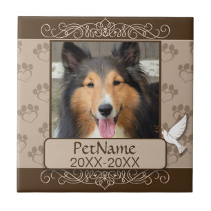 Bruna Calligraph virvlar runt Kakelplatta