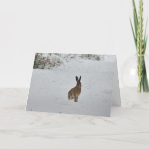 Bruna hare i snöjulkort helgkort
