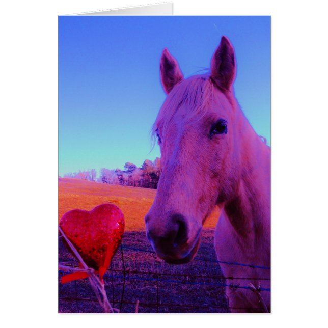 Bruna hästar och rött hjärta hälsningskort (Framsidan)