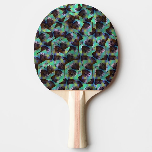 Bruna och vita marsvin, pingisracket (Framsidan)