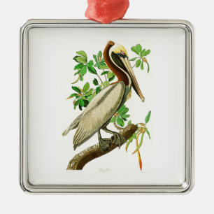 Bruna pelikanJohn James Audubon fåglar av Amerika Julgransprydnad Metall