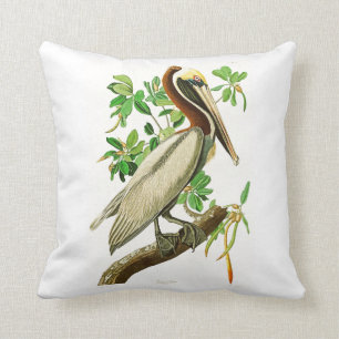 Bruna pelikanJohn James Audubon fåglar av Amerika Kudde
