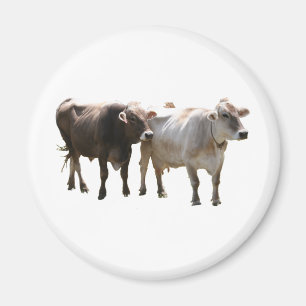 Bruna schweizarekor magnet