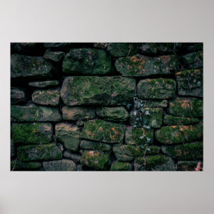 Bruna vinstockar på staplade stenblock poster