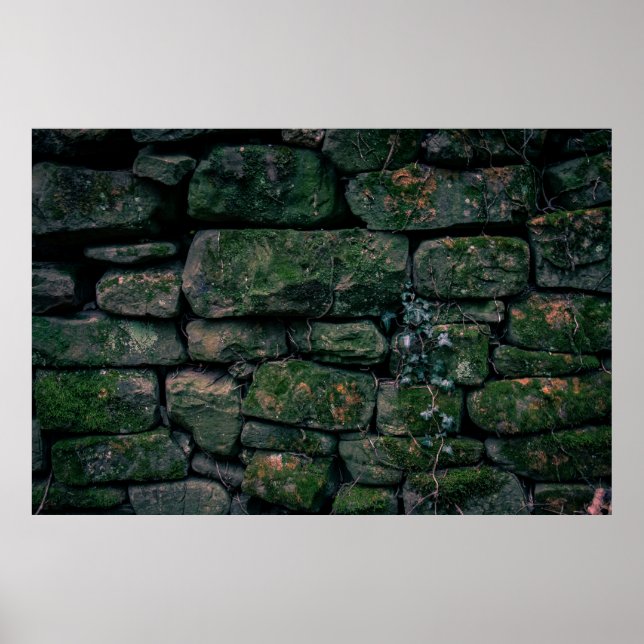 Bruna vinstockar på staplade stenblock poster (Framsidan)