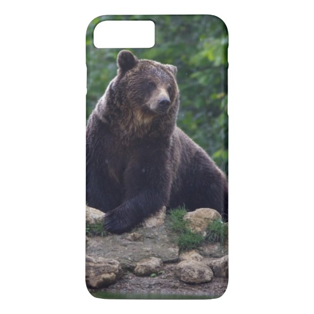 Brunbjörn Case-Mate iPhone Skal (Baksida)