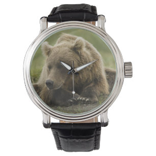 Brunbjörn, eller Coastal Grizzly Bear, Ursus Armbandsur