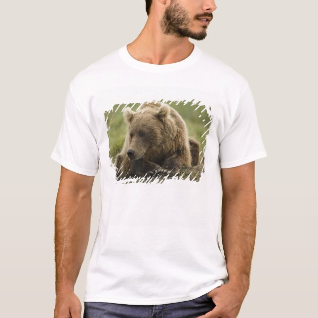 Brunbjörn, eller Coastal Grizzly Bear, Ursus Tee (Framsida)