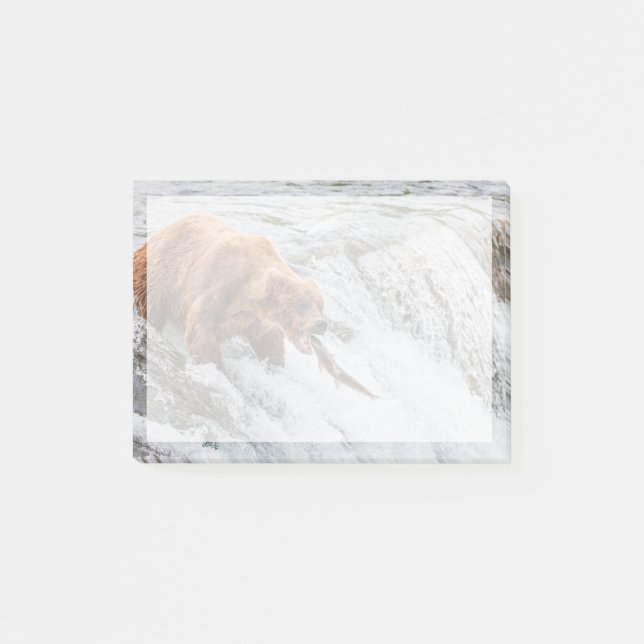 Brunbjörn fångar röd lax post-it block (Framsida)