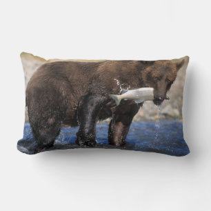 Brunbjörn, grizzlybjörn, med laxfångst, lumbarkudde