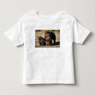 Brunbjörn, grizzlybjörn, sugga med ungar på kust t-shirt