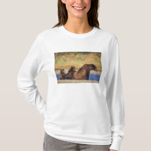 Brunbjörn, grizzlybjörn, sugga med ungar, t-shirt