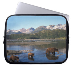 Brunbjörn, grizzlybjörn, sugga och ungar i laptop sleeve