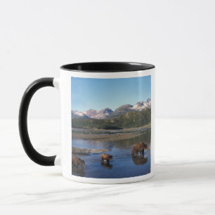 Brunbjörn, grizzlybjörn, sugga och ungar i mugg