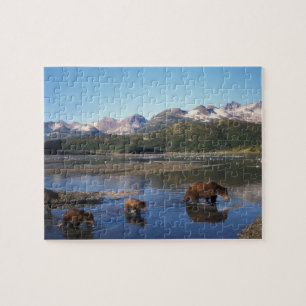 Brunbjörn, grizzlybjörn, sugga och ungar i pussel