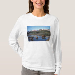 Brunbjörn, grizzlybjörn, sugga och ungar i tee shirt