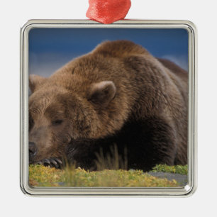Brunbjörn, grizzlybjörn, tar en tupplur, Katmai Julgransprydnad Metall