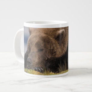 Brunbjörn, grizzlybjörn, tar en tupplur, Katmai Jumbo Mugg