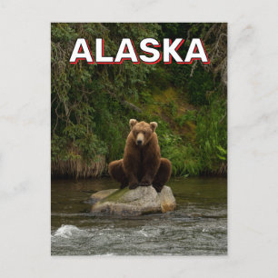 Brunbjörn i Alaska Vykort