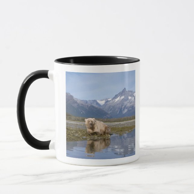 brunbjörn, Ursus arctos, grizzly björn, Ursus 4 Mugg (Vänster)