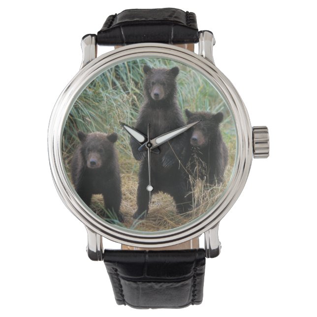 brunbjörn, Ursus arctos, grizzly björn, Ursus 7 2 Armbandsur (Framsida)