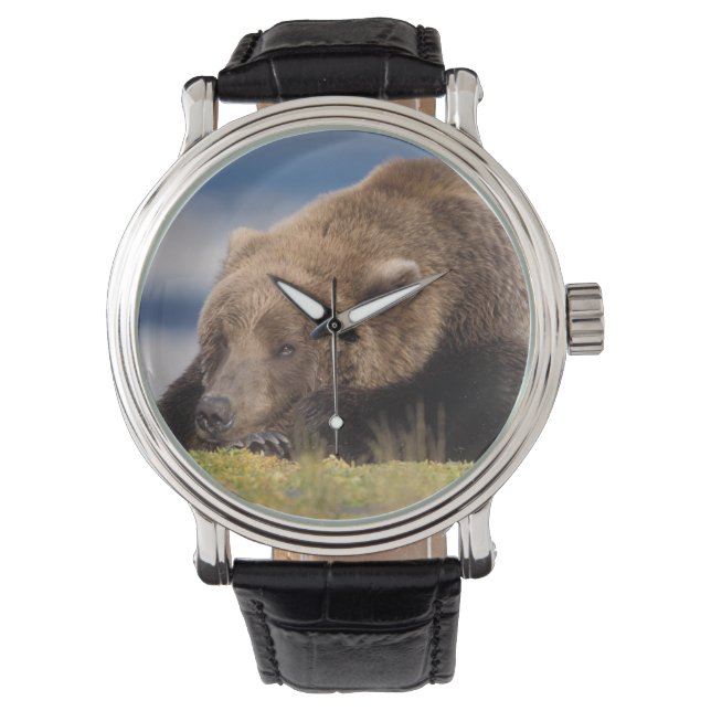 brunbjörn, Ursus arctos, grizzly björn, Ursus 8 Armbandsur (Framsida)