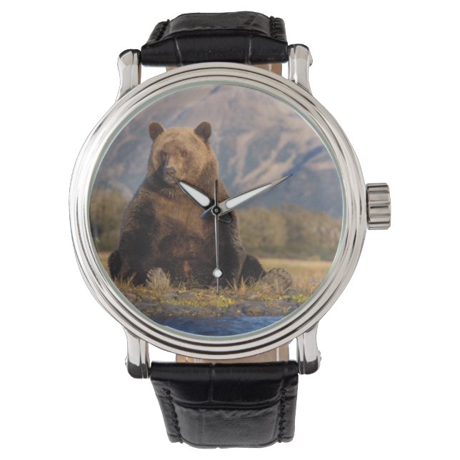 brunbjörn, Ursus arctos, grizzly björn, Ursus Armbandsur (Framsida)