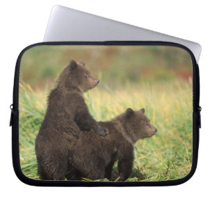 Brunbjörn, Ursus arctos, grizzlybjörn, Ursus 2 Laptop Sleeve