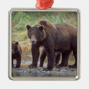 Brunbjörn, Ursus arctos, grizzlybjörn, Ursus 3 Julgransprydnad Metall
