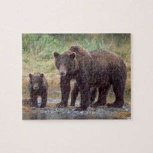 Brunbjörn, Ursus arctos, grizzlybjörn, Ursus 3 Pussel