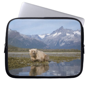 Brunbjörn, Ursus arctos, grizzlybjörn, Ursus 4 Laptop Fodral