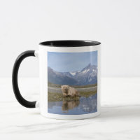Brunbjörn, Ursus arctos, grizzlybjörn, Ursus 4