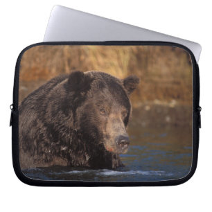 Brunbjörn, Ursus arctos, grizzlybjörn, Ursus 5 Laptop Fodral