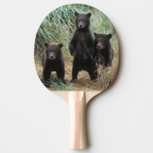 Brunbjörn, Ursus arctos, grizzlybjörn, Ursus 7 2 Pingisracket