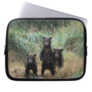 Brunbjörn, Ursus arctos, grizzlybjörn, Ursus 7 Laptop Fodral