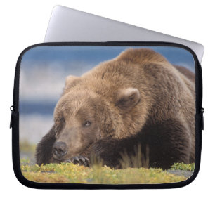 Brunbjörn, Ursus arctos, grizzlybjörn, Ursus 8 Laptop Fodral