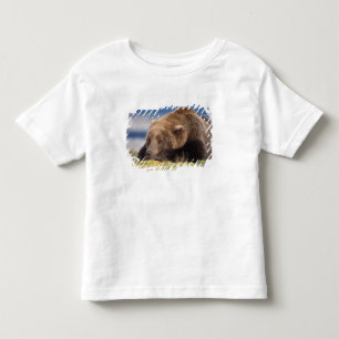 Brunbjörn, Ursus arctos, grizzlybjörn, Ursus 8 Tröja
