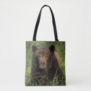 Brunbjörn, Ursus arctos, grizzlybjörn, Ursus 9 Tygkasse