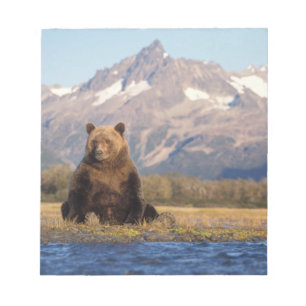 Brunbjörn, Ursus arctos, grizzlybjörn, Ursus Anteckningsblock