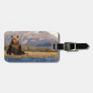 Brunbjörn, Ursus arctos, grizzlybjörn, Ursus Bagagebricka