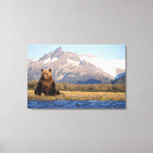 Brunbjörn, Ursus arctos, grizzlybjörn, Ursus Canvastryck