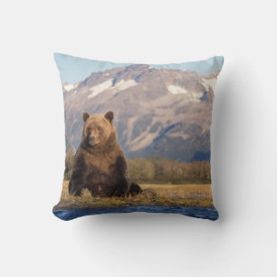 Brunbjörn, Ursus arctos, grizzlybjörn, Ursus Kudde