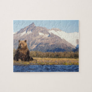 Brunbjörn, Ursus arctos, grizzlybjörn, Ursus Pussel
