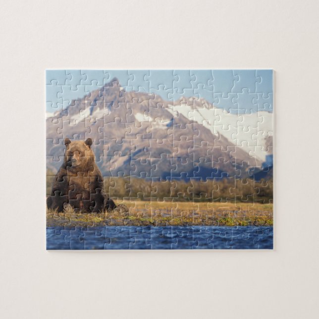 Brunbjörn, Ursus arctos, grizzlybjörn, Ursus Pussel (Horisontell)
