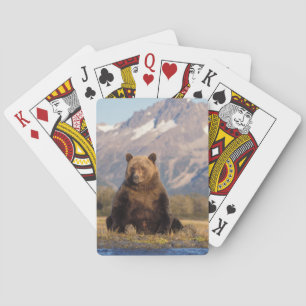 Brunbjörn, Ursus arctos, grizzlybjörn, Ursus Spelkort