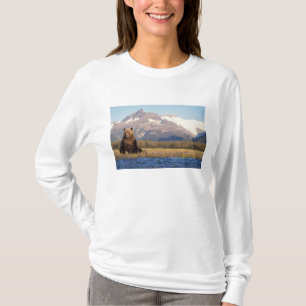 Brunbjörn, Ursus arctos, grizzlybjörn, Ursus Tee Shirt