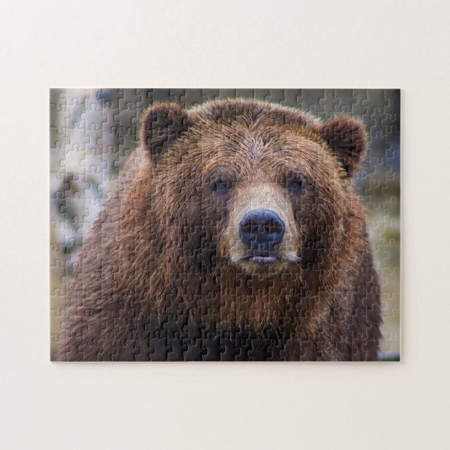 Brunbjörn Vild Grizzly Forest Wood Nature Scenery Pussel (Horisontell)