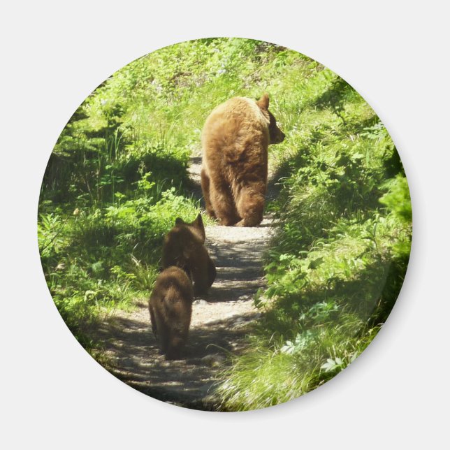 Brunbjörnsfamilj Magnet (Framsidan)