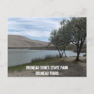 Bruneau Dunes State Park Vykort